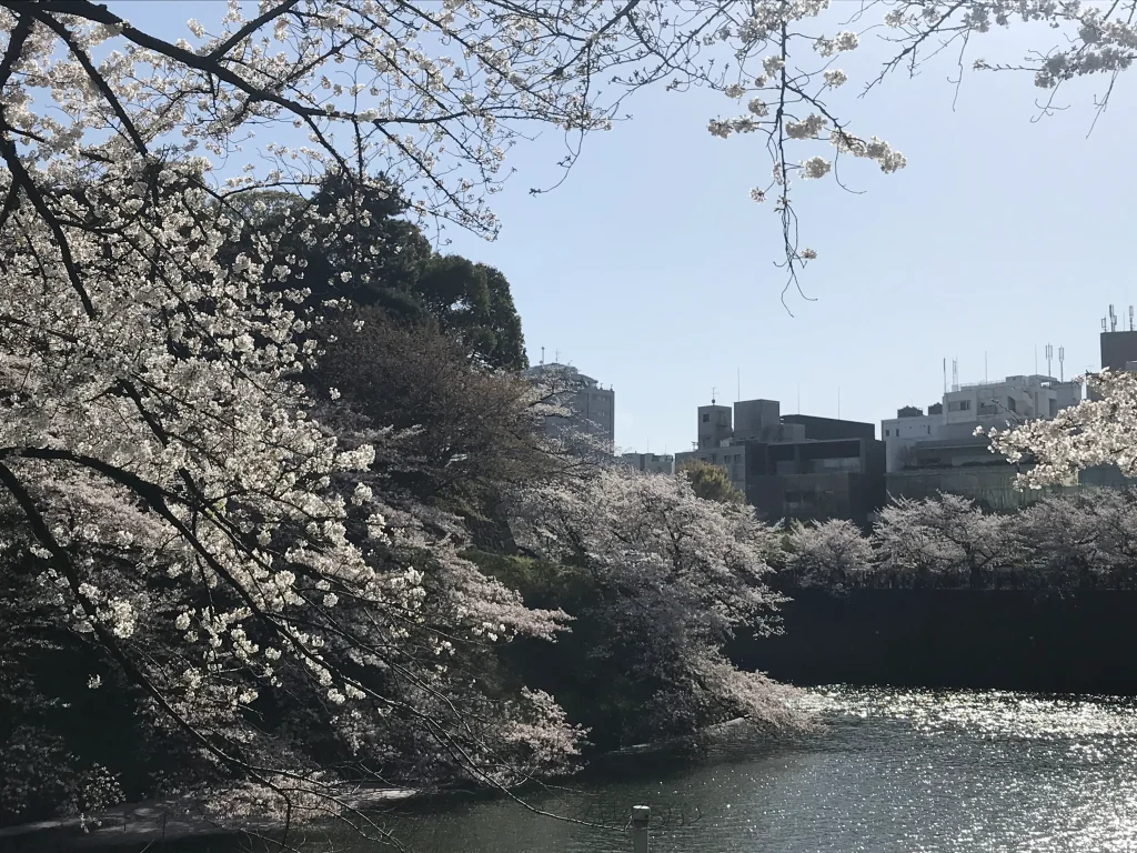 千鳥ヶ淵